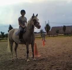 Photo de profil de horsesismylife