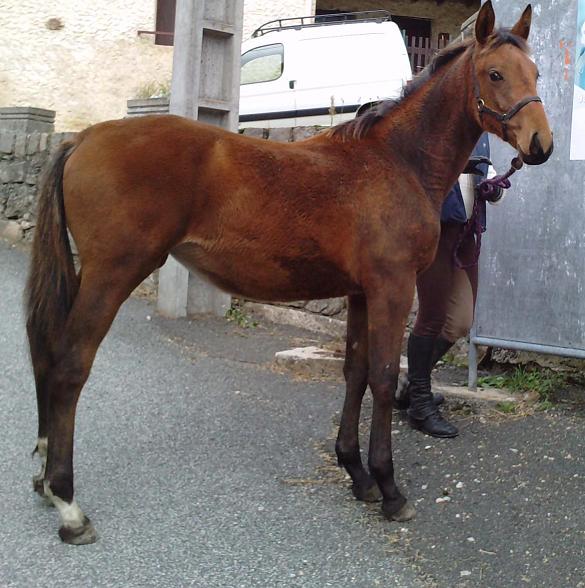 Photo de profil de jrloire