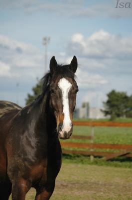 Photo de profil de jungle1997