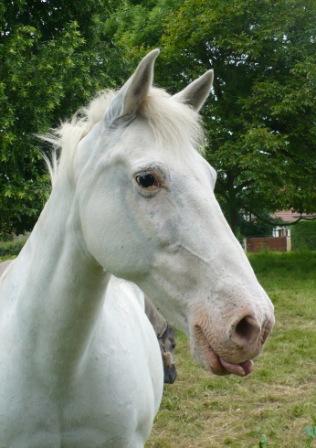 Photo de profil de kelle