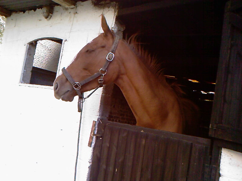 Photo de profil de kelly-missq