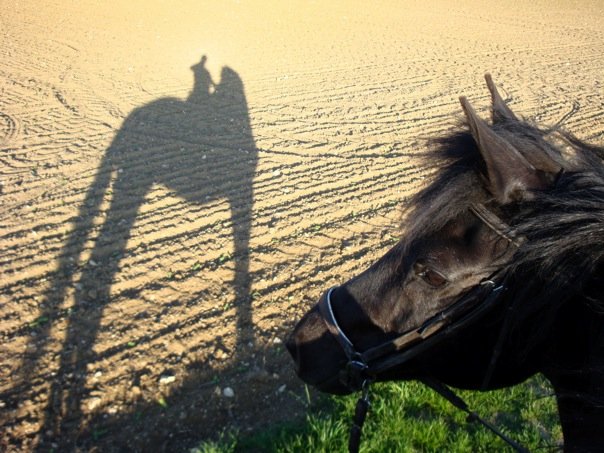 Photo de profil de lalali