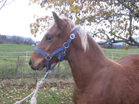 Photo de profil de lilou04