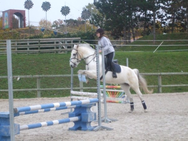 Photo de profil de loseille