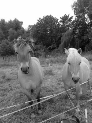 Photo de profil de lovedu80400