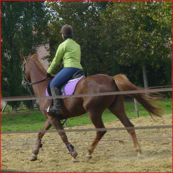 Photo de profil de luluvet