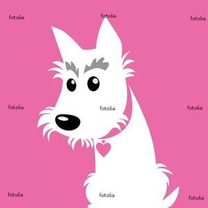 Photo de profil de maaanon