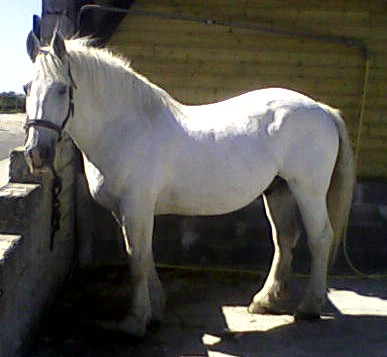 Photo de profil de mandy059