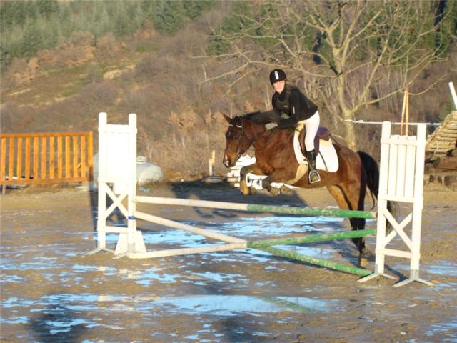 Photo de profil de marieo