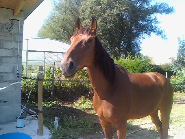 Photo de profil de melane62830
