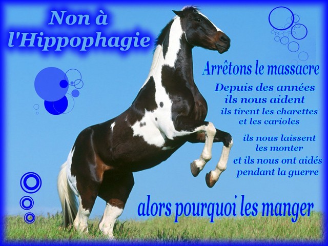Photo de profil de miss-dadas57