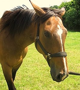 Photo de profil de miss77