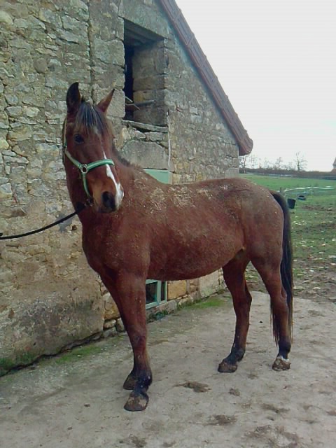 Photo de profil de momuss
