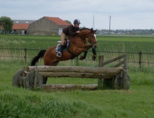 Photo de profil de moussaillons