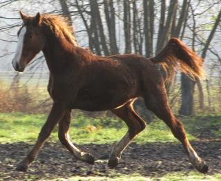 Photo de profil de nanou49