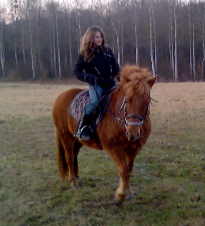 Photo de profil de ouessant