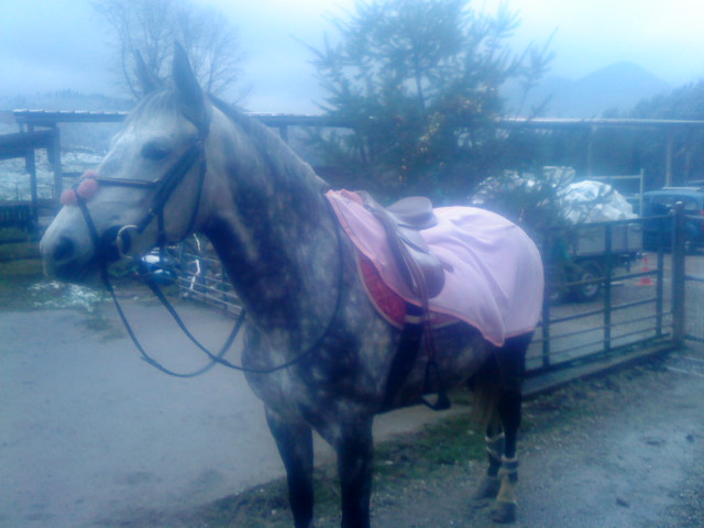 Photo de profil de p0upette