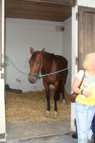 Photo de profil de petitextroteuse