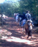 Photo de profil de pluiepluie