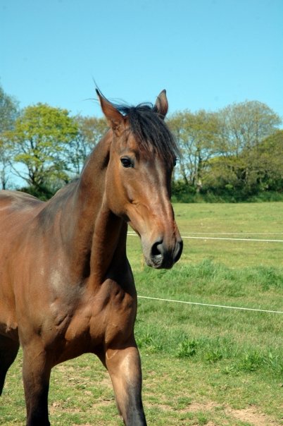 Photo de profil de prissou95