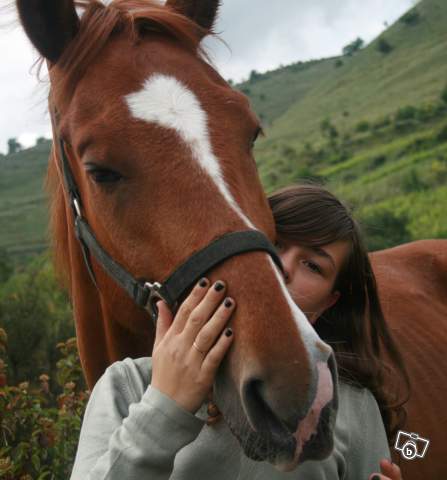 Photo de profil de rayboy