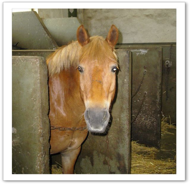 Photo de profil de rivi57