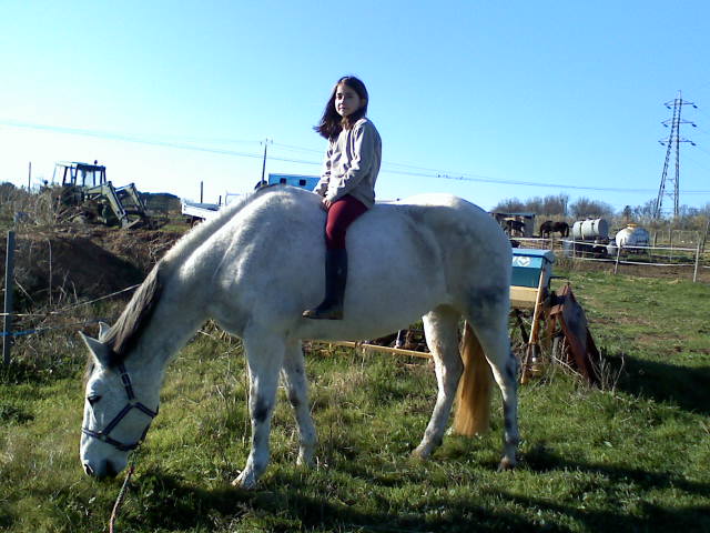 Photo de profil de saltaland