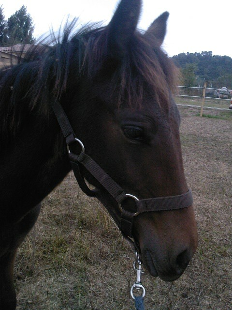 Photo de profil de scendrine