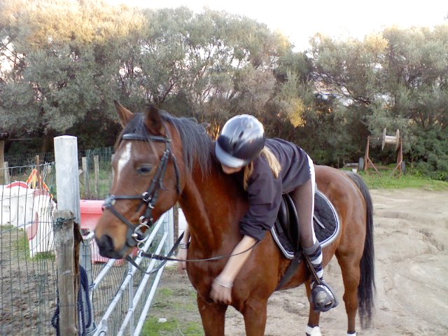 Photo de profil de sgaiuffu