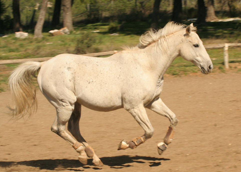 Photo de profil de sidobre