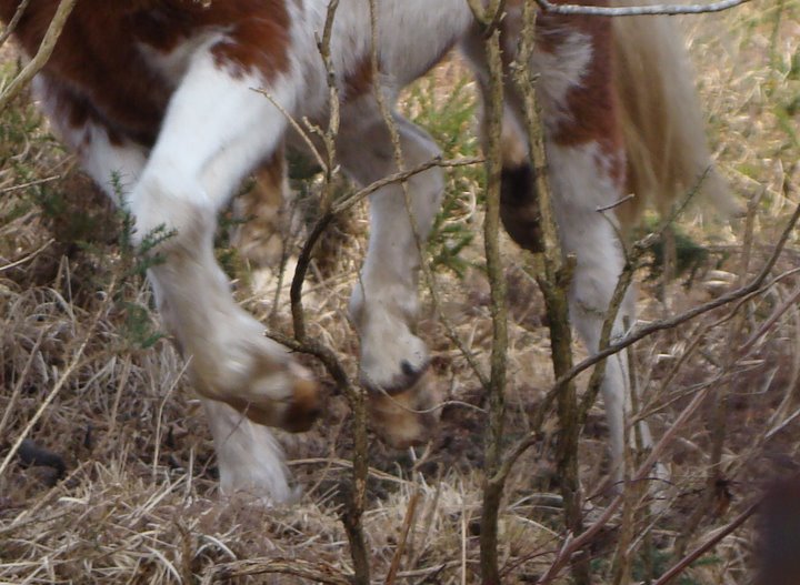 Photo de profil de sissongo