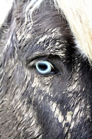 Photo de profil de vala