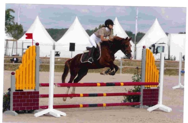 Photo de profil de violaine03