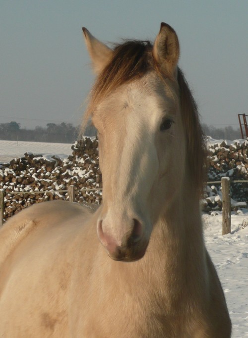 Photo de profil de vviioo