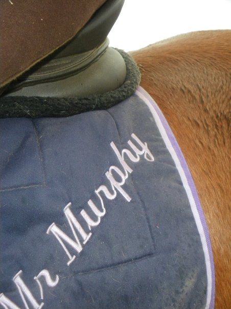 Photo de profil de xx-gaspard-xx