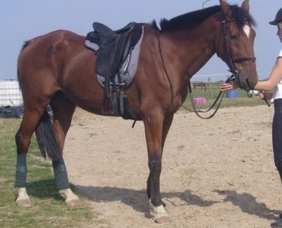 Photo de profil de alesk