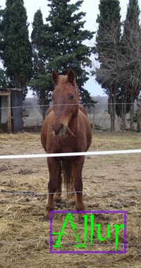 Photo de profil de allur