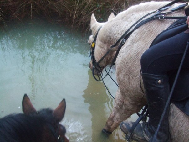 Photo de profil de altesse89