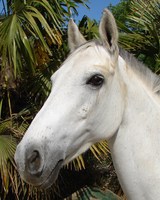 Photo de profil de ambre77