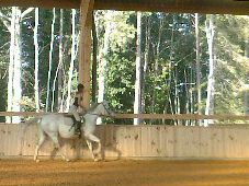 Photo de profil de bully