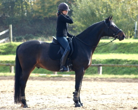 Photo de profil de cantano