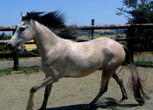 Photo de profil de charles69