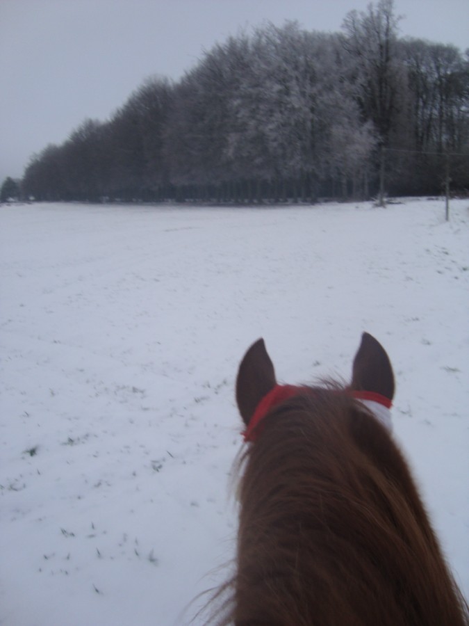 Photo de profil de chatana