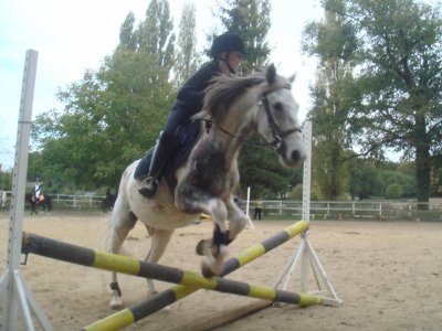 Photo de profil de che-val-13