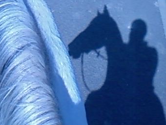 Photo de profil de ciboooulette