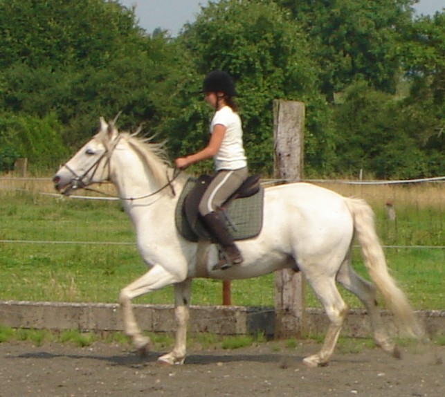 Photo de profil de dalton55700