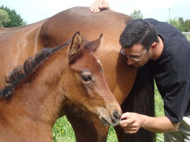 Photo de profil de darko