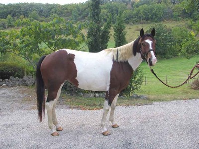 Photo de profil de dupont12