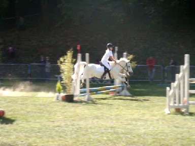 Photo de profil de elise24