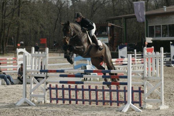 Photo de profil de equijumping